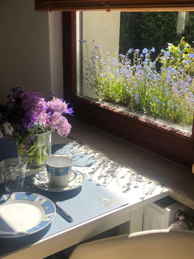 Appartement 1 Baltic Bergen Auf Rugen Eksteriør billede